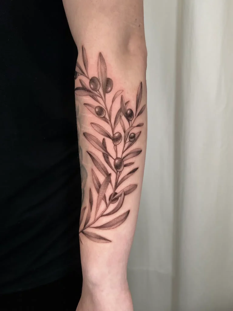 Olivenbaum Zweig Tätowierung auf dem Unterarm